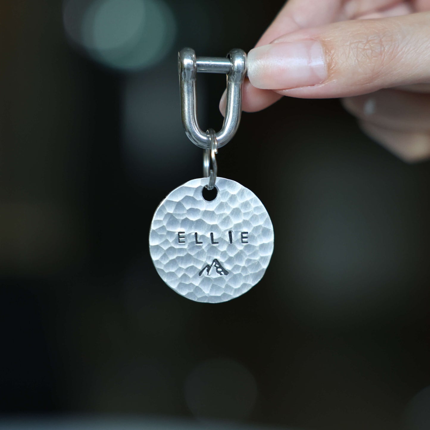 Custom Hand-Stamped Aluminum Pet ID Tag – Hammered Finish | SunnyPals Pick