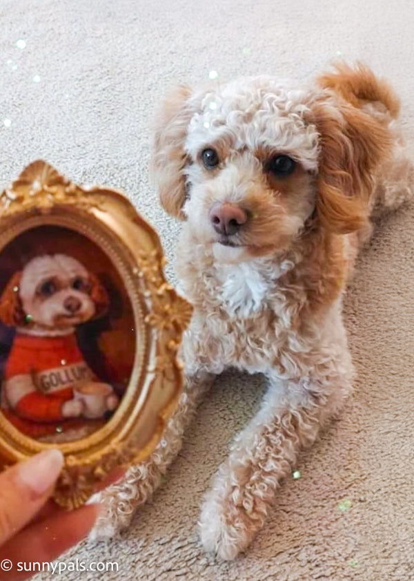 Custom Pet Portraits - Vintage Frames & Magnets